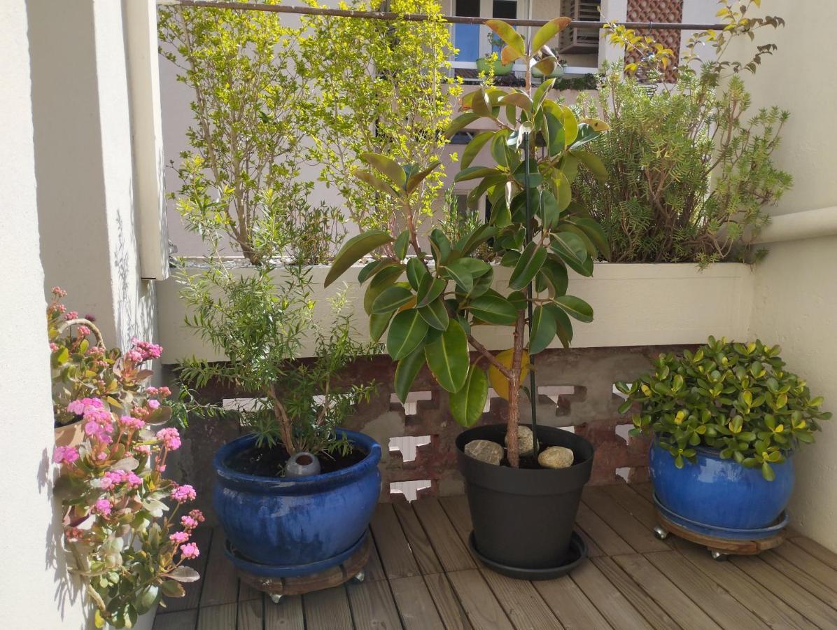 Bel appartement privatif Perpignano Esterno foto